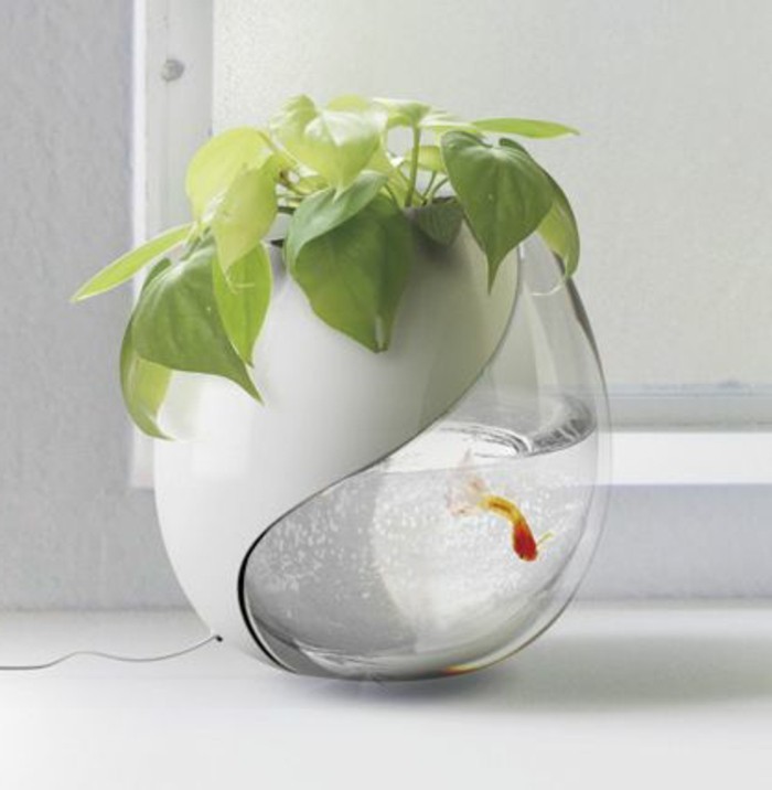 Idées pour aquarium-petit aquarium-design plante Goldfish Aquarium déco