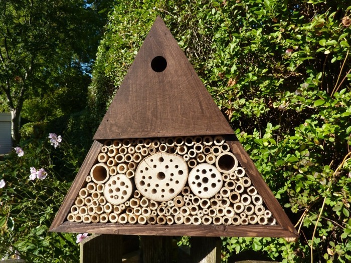 насекоми хотел-собствен-изграждане на-а-насекомо-хотел-на-на-градина