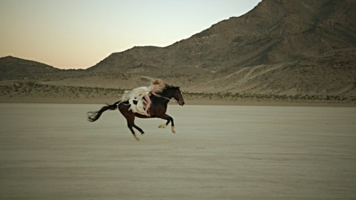 美丽的马壁纸，狂热的马的有趣照片