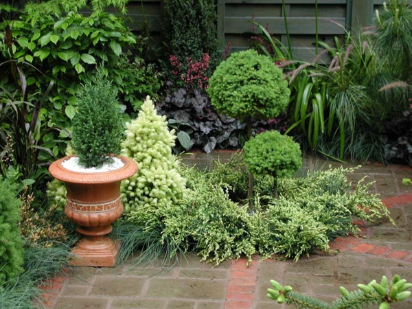 hacer interesantes verde de plantas pequeñas y jardines