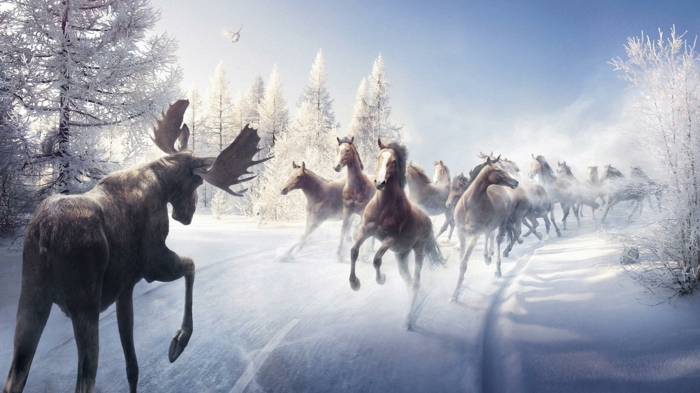 interesante ilustración-caballo-en-nieve