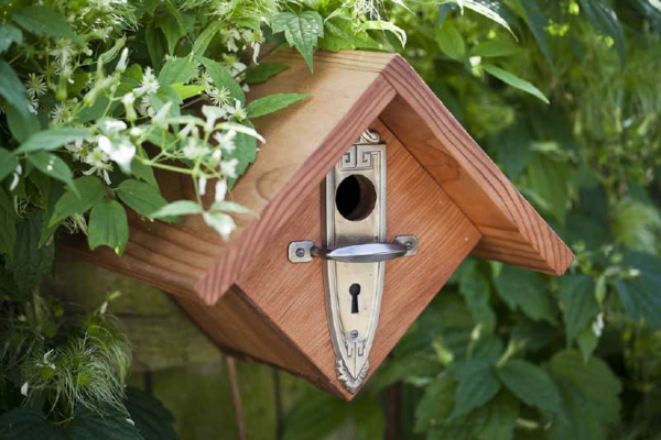Casa guarnición interesante para las Aves de la madera