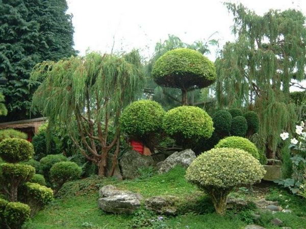 Japani-puutarha suunnittelu-kiva muotoinen-puita moderni-puutarha