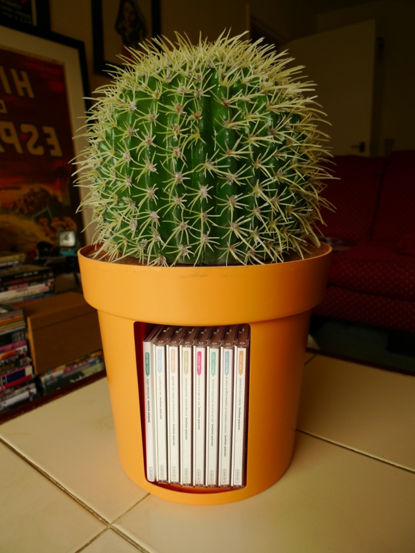 cactus en un color naranja multifuncional