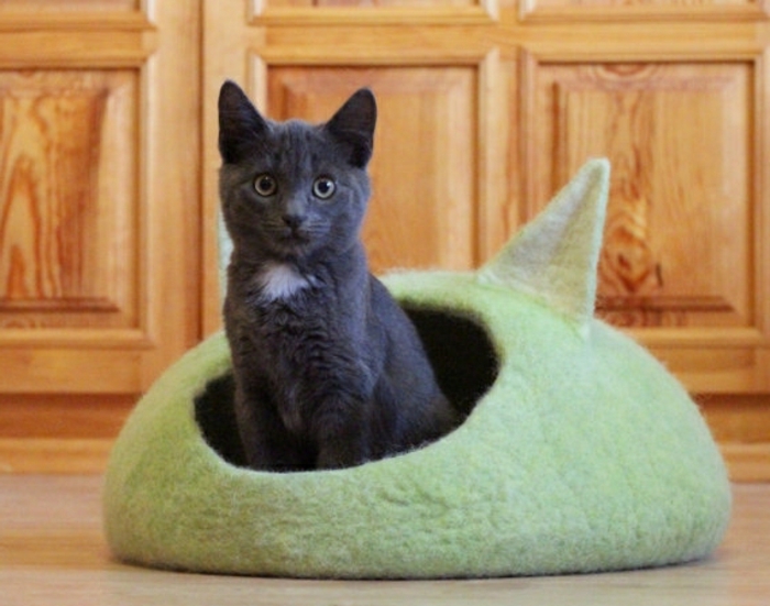 mačke pribor - mali-siva-kaze-zeleno-krevet-čahura
