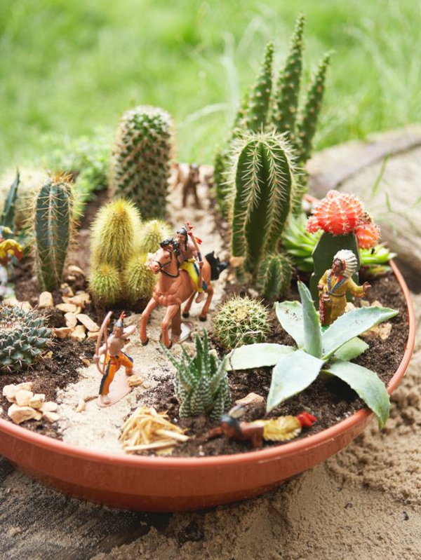 pequeño-hermoso-cactus-hermoso diseño
