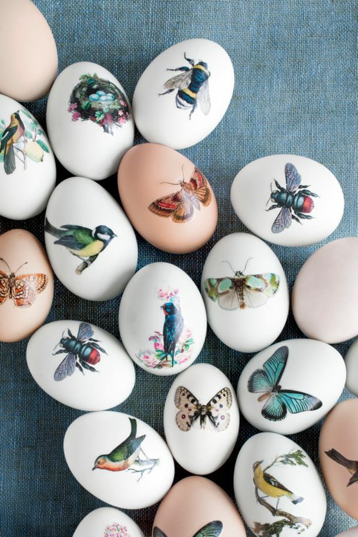 tatuointi malleja pikku värikäs tatuointeja munia asettaa perhonen lintu värikäs kuvia valkoisella