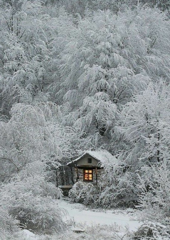 小而舒适的家庭作坊下的树覆盖，用雪浪漫的冬季图像