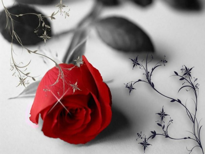 besplatno pozadina Valentinovo-romantični-crvenih ruža