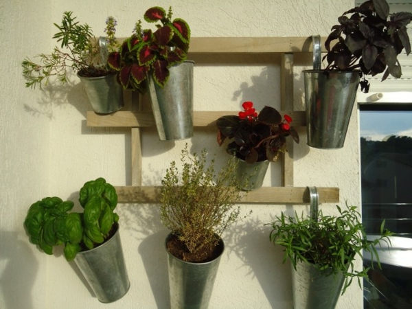 Suspensor Krautergarten-बालकनी पौधों vertically-