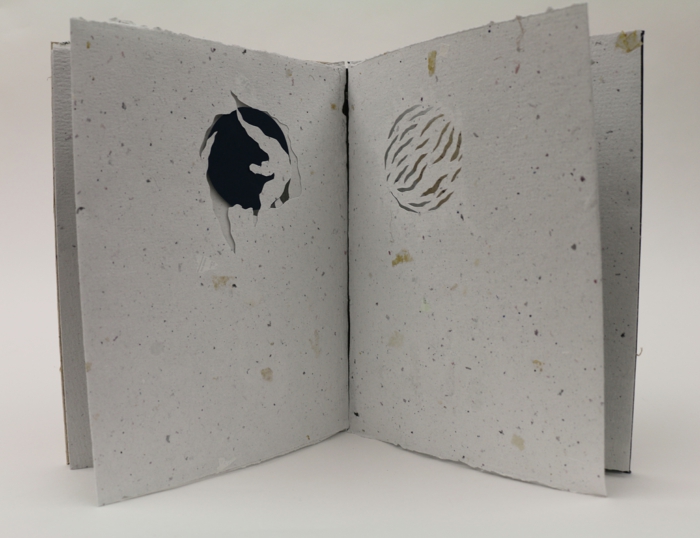 Libro plegable: forma inteligente de cortar las piezas en color gris