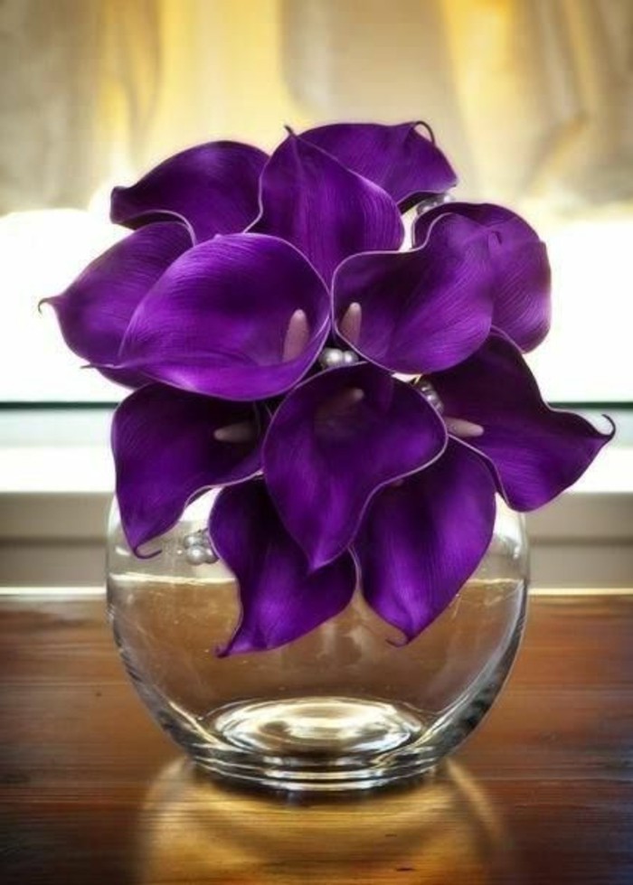 púrpura-flor-en-en forma de florero redondo