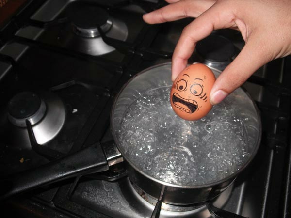 huevo pintado divertido gritos-on-the-pot