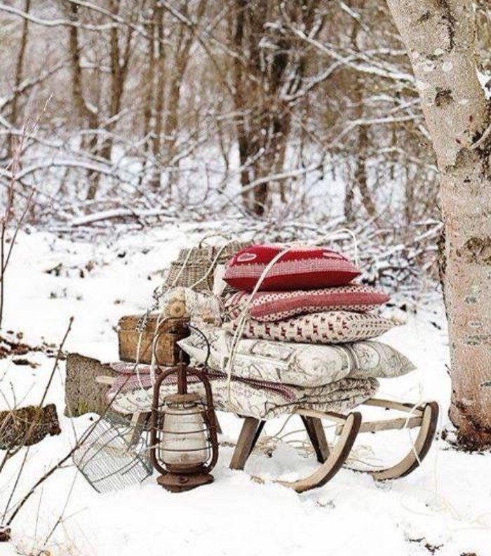 有趣的图片冬季野餐在冬季