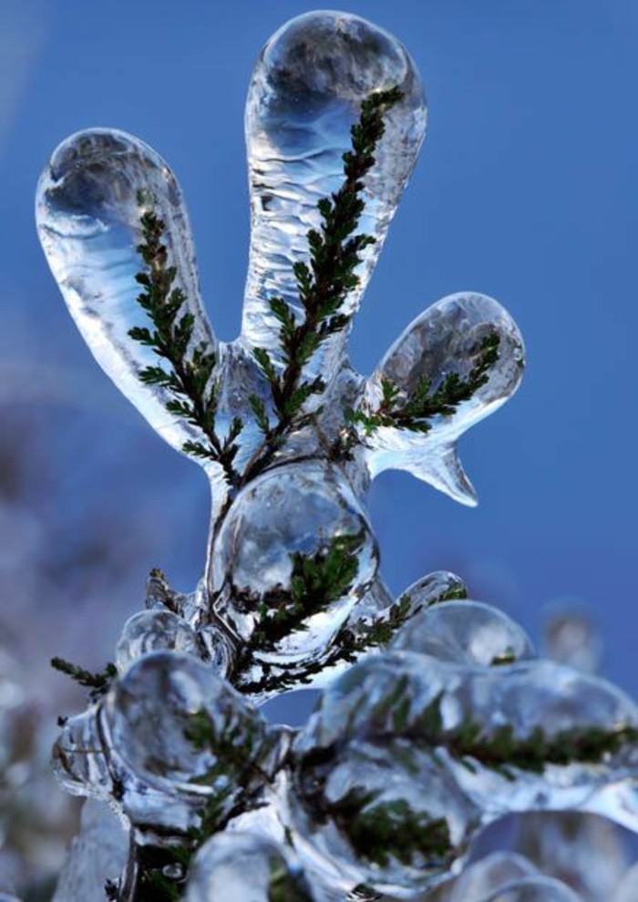 风景照片，与冬季图案美丽的冬天图像冻结冰枝