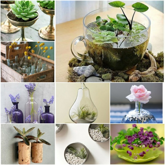 用花盆修补匠多彩的设计理念杯作为花盆使用睡莲瓶软木塞装饰