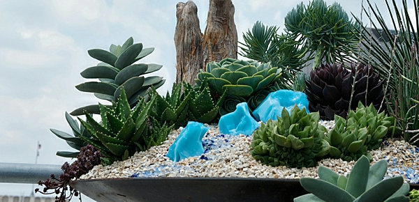 हरे पौधों और छोटे पत्थरों के साथ बगीचे का डिजाइन