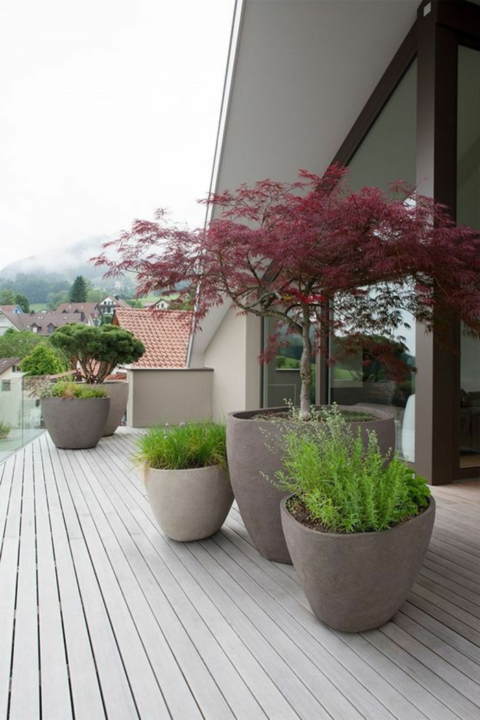 moderni etupiha, jossa on kukkaruukkuja bonsai-puilla ja vihreillä kasveilla