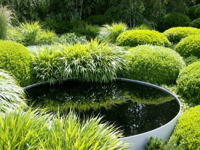 un nivel de agua rodeado de vegetación - un patio delantero moderno