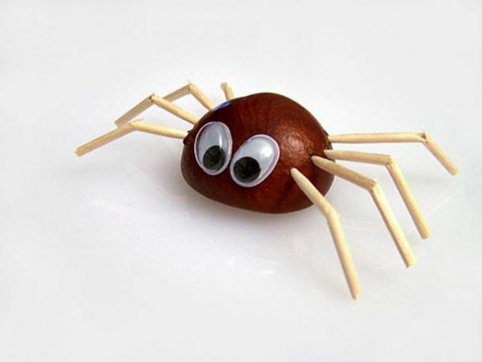 साथ-भूरा-टिंकर एक मकड़ी