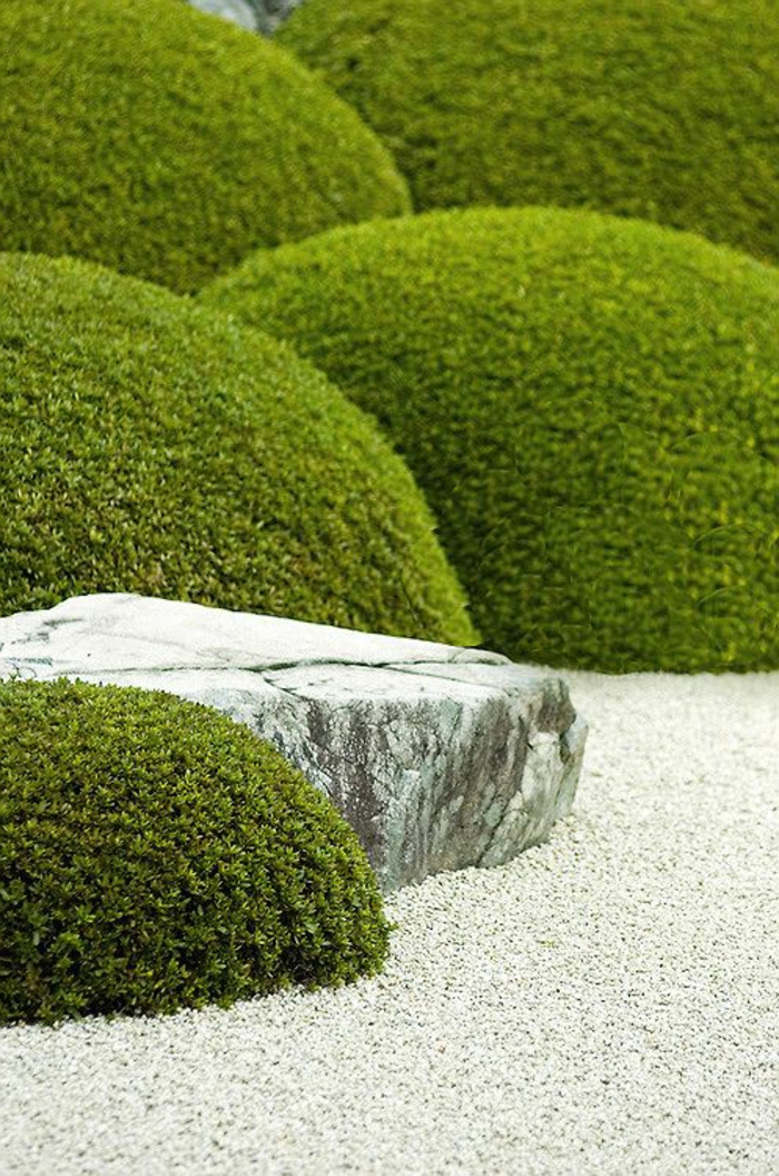 un jardín de rocas con musgo y grava como revestimientos para el suelo - ejemplos de diseño de jardines