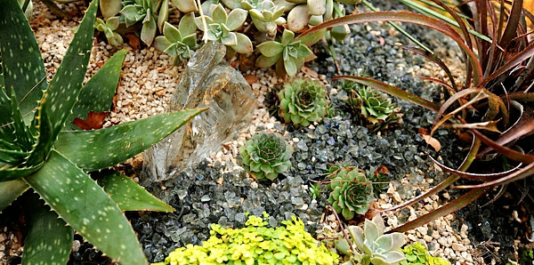 सजावटी छोटे पत्थरों और सुंदर पौधों की तस्वीर