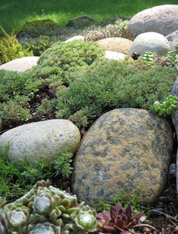 गोल पत्थर और हरी पौधों के साथ आधुनिक उद्यान डिजाइन