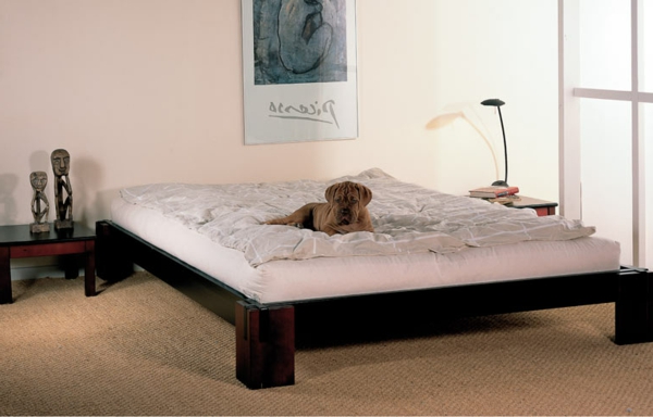 आधुनिक-बेड-इन-स्कैंडिनेवियाई शैली- बिस्तर पर बड़ा कुत्ता