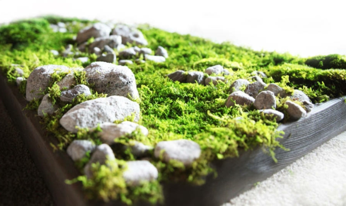 una hermosa imagen de musgo con piedras en diferentes tamaños