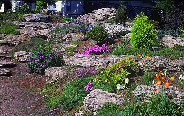 רעיון גן - אבנים ופרחים צבעוניים