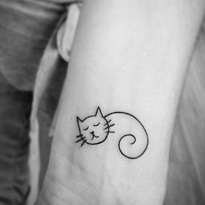 कलाई पर एक बिल्ली टैटू के लिए बहुत अच्छा विचार - यहाँ लंबी कंपन के साथ एक छोटी सी सो रही बिल्ली है