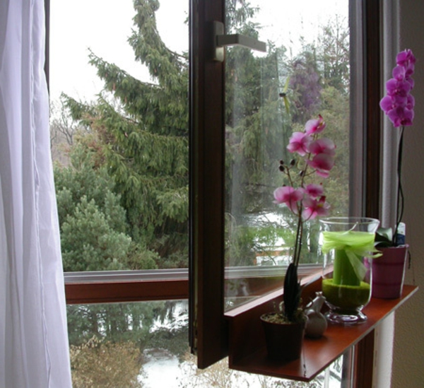 orkidea-ikkuna