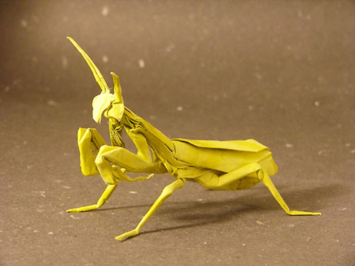 ओरीगैमी से जानवरों-पीले टिड्डी