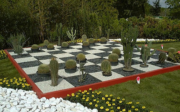 iso shakki - mattapintainen kaktus kauniissa puutarhassa
