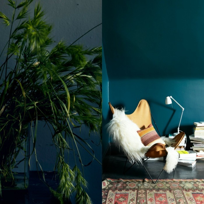 汽油蓝色墙壁美丽椅的巨大绿色植物