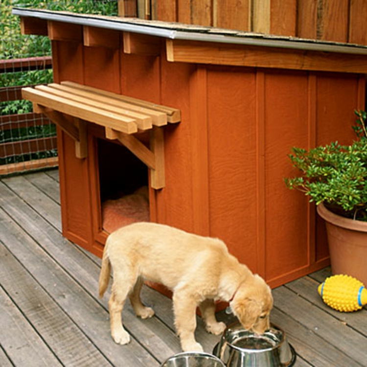 perro-cabaña-in-naranja-marrón-diseñador-particularmente simple y chic noble