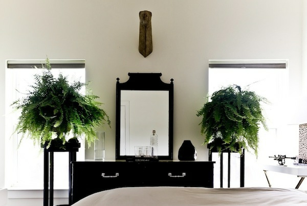 φυτό-in-bedroom-με-ένα-κομψό καθρέφτη