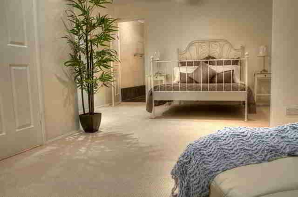 φυτό-in-bedroom-με-ένα-ενδιαφέρον-κρεβάτι