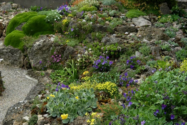 बगीचों में पत्थरों और पौधों - अच्छे विचार