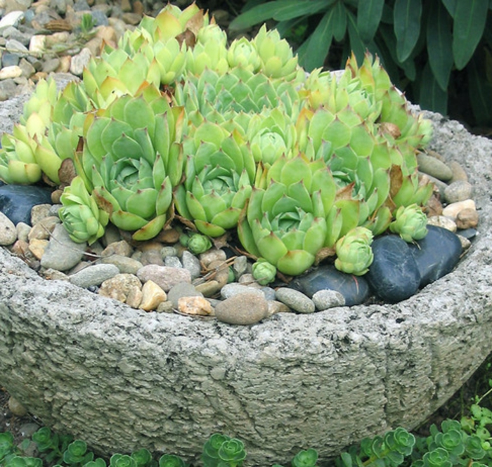 Virágcserép-A-beton-zöld színű