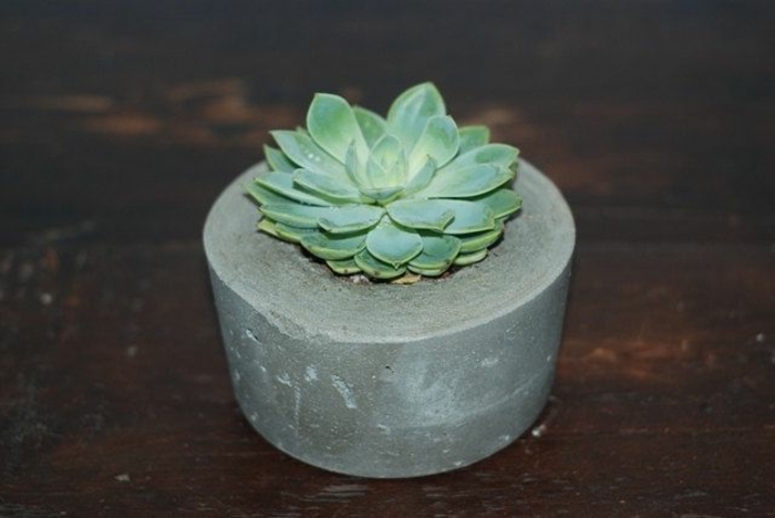 Virágcserép-A-beton-kis-gyönyörű modell