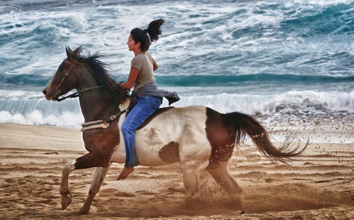 酷女人骑着白色和棕色的大马