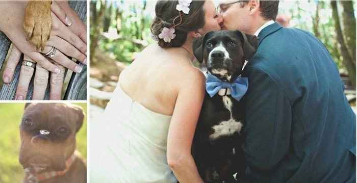 romantique photographie de mariage nous-et-le-chien