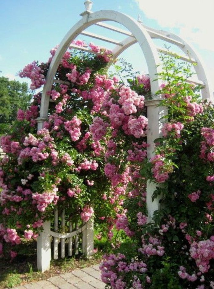 arco de la rosa-a-puerta-rosas