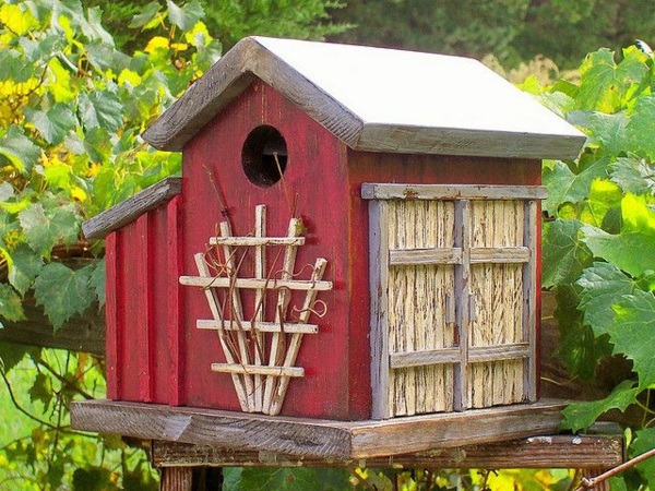 الطائر الأحمر تغذية المنازل من الخشب تصميم