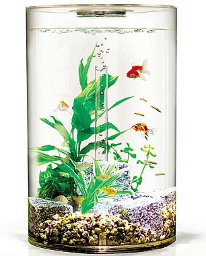 rond-petit aquarium-aquarium-déco avec pierres et d'eau des plantes d'aquarium-conception