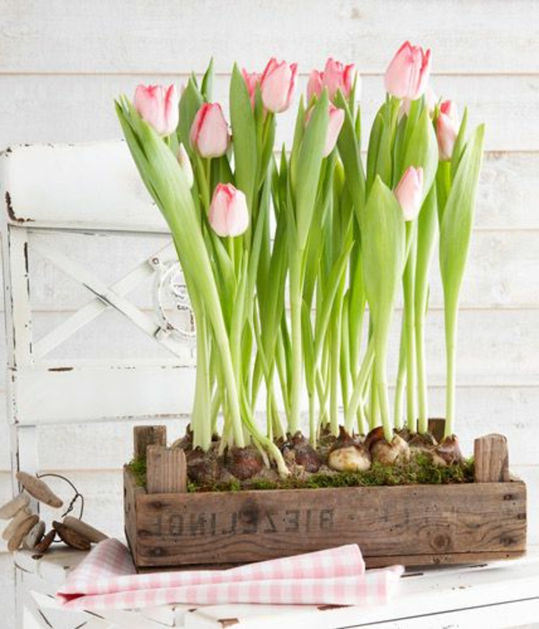 mesa de adorno-with-pink-tulipanes