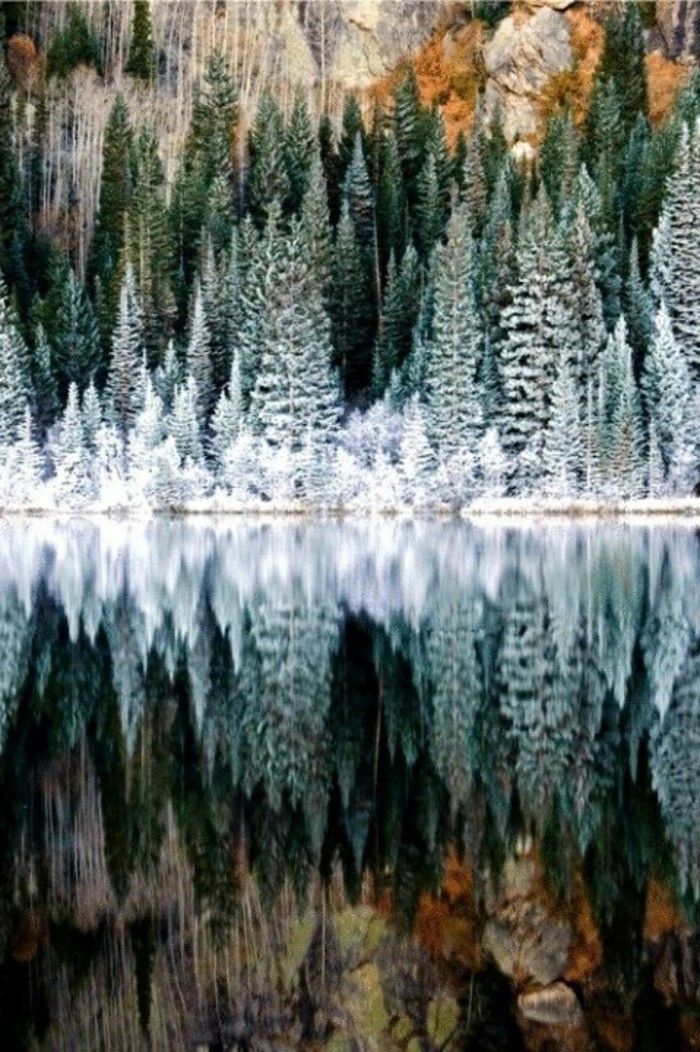美丽的冬天图片落基山国家公园美国科罗拉多州