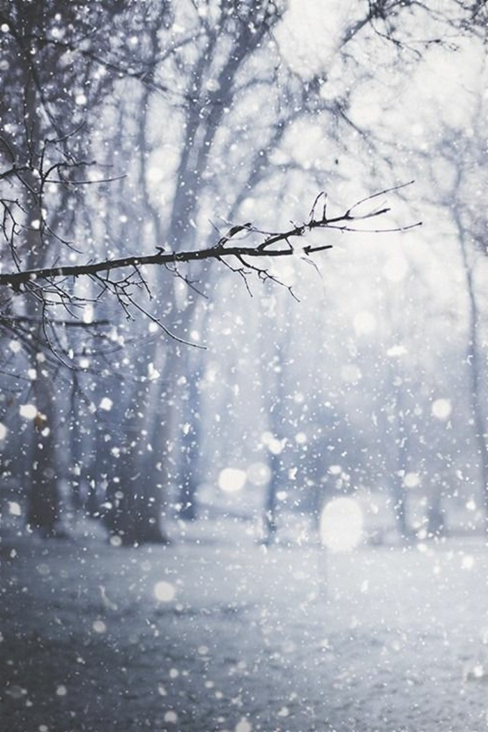 美丽的冬天图片同情雪花和浪漫形象