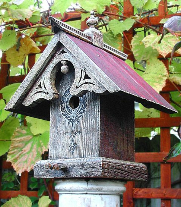 البيت بطانة جميلة للطيور من الخشب